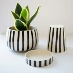 Jungalow® Kaya 3-Piece Ceramic Planter By Justina Blakeney™