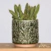 HomArt Cactus Planter Planters