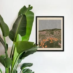 New California Poppies Art Print By Chloe Purpero Johnson