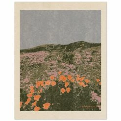 New California Poppies Art Print By Chloe Purpero Johnson