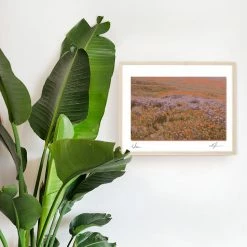 Eden Art Print By Chloe Purpero Johnson