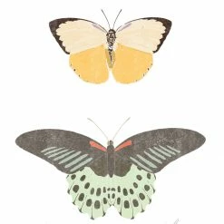 Kids Farfalle Art Print By Chloe Purpero Johnson