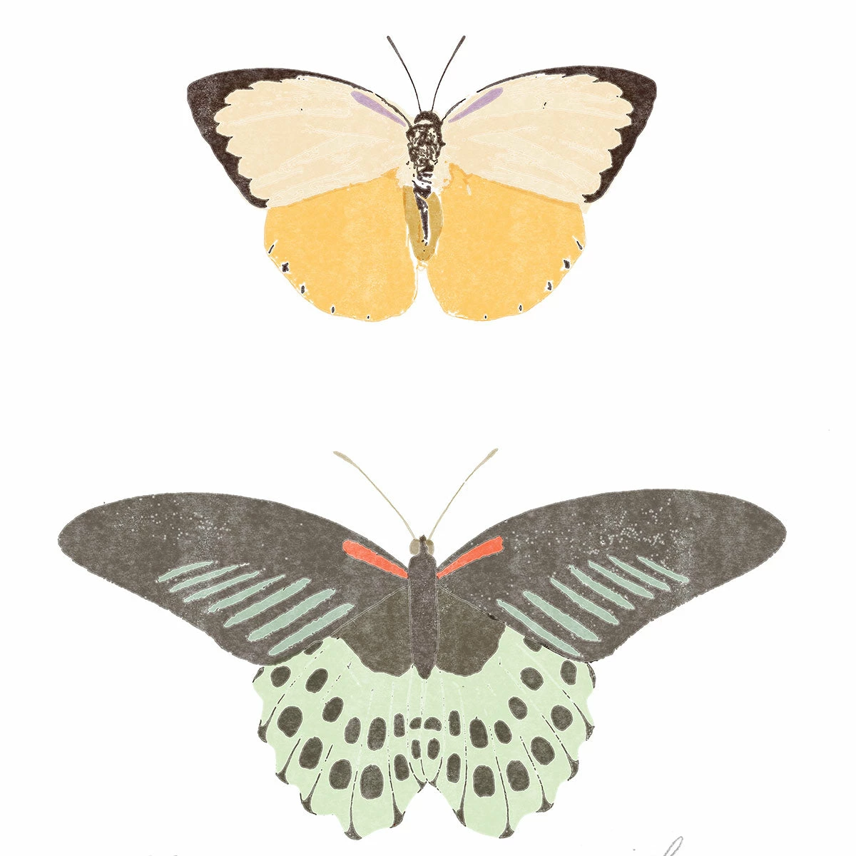 Kids Farfalle Art Print By Chloe Purpero Johnson 3 Kids Farfalle Art Print By Chloe Purpero Johnson