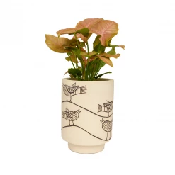 Jungalow® Kaya Birdie Pot By Justina Blakeney™ Planters