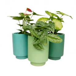 Jungalow® Kiwi Green Kaya Pot By Justina Blakeney™ Planters