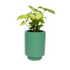 Jungalow® Planters Kelly Green Kaya Pot By Justina Blakeney™ 1 Jungalow® Planters Kelly Green Kaya Pot By Justina Blakeney™