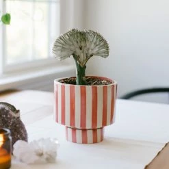 Jungalow® Kaya Shorty Ceramic Planter By Justina Blakeney™ 26 Jungalow® Kaya Shorty Ceramic Planter By Justina Blakeney™