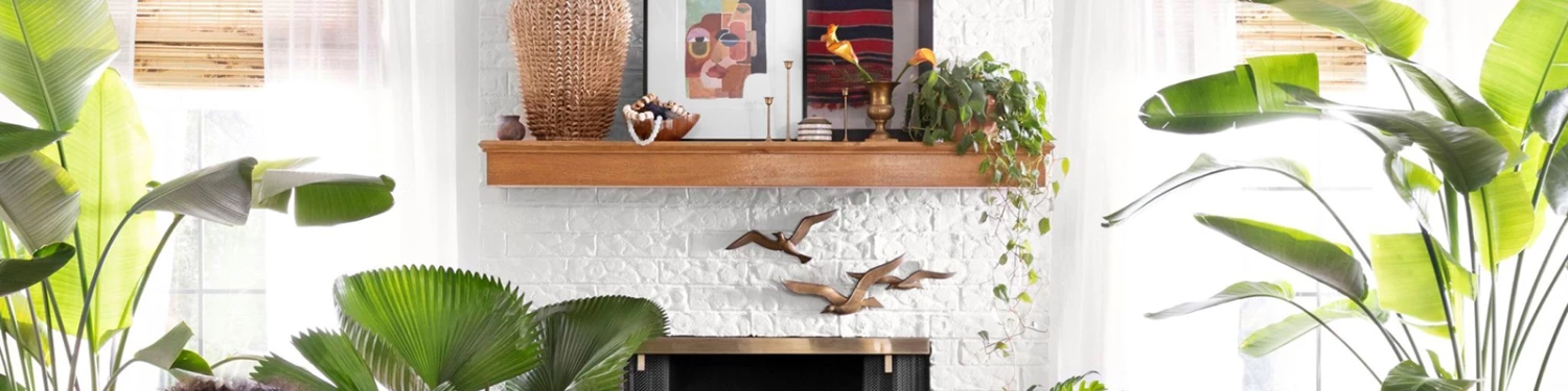 Deals Jungalow Store -Deals Jungalow Store hengfu