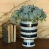 HomArt Shibori Planter