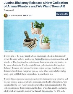 Jungalow® Zebra Savannah Garden Pot By Justina Blakeney™