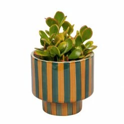 Jungalow® Kaya Shorty Ceramic Planter By Justina Blakeney™ 22 Jungalow® Kaya Shorty Ceramic Planter By Justina Blakeney™